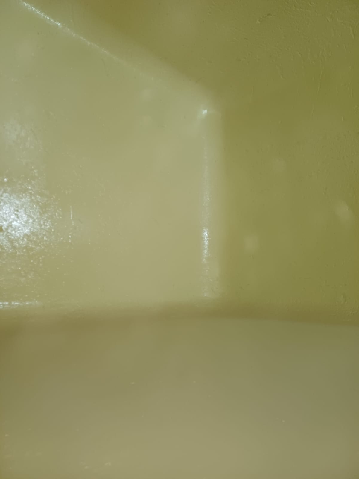 Trabajo 5